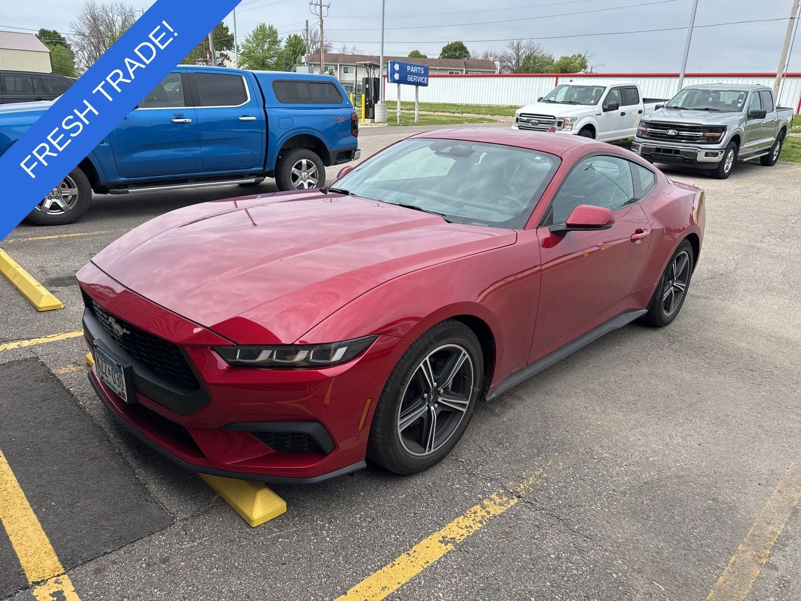 2024 Ford Mustang EcoBoost Premium Fastback's photo