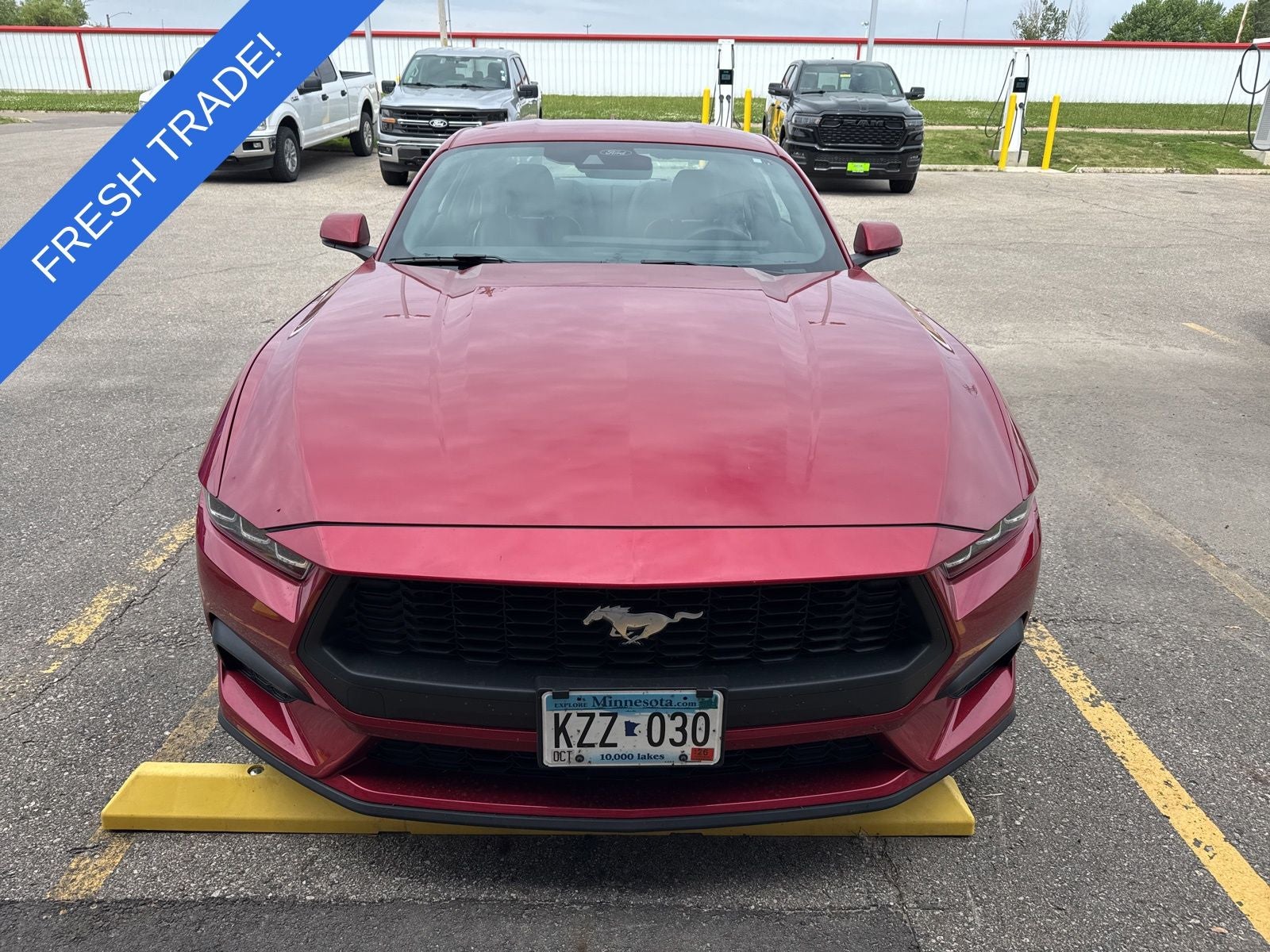 Used 2024 Ford Mustang EcoBoost Premium with VIN 1FA6P8TH9R5109102 for sale in Austin, Minnesota