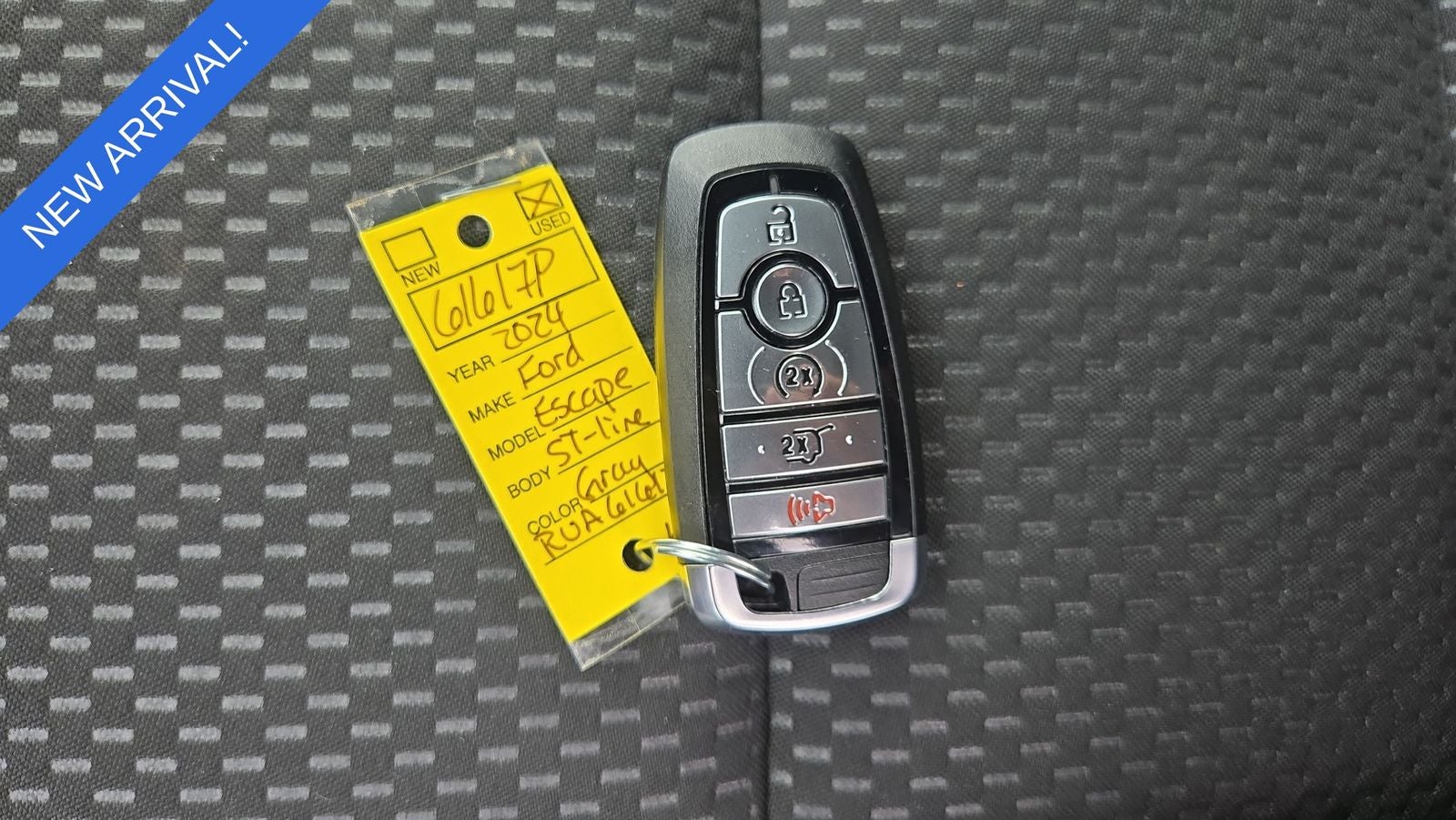 2024 Ford Escape ST-Line